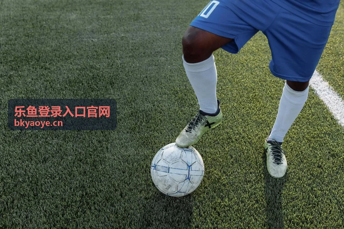 乐鱼登录入口官网最新信息与使用提示